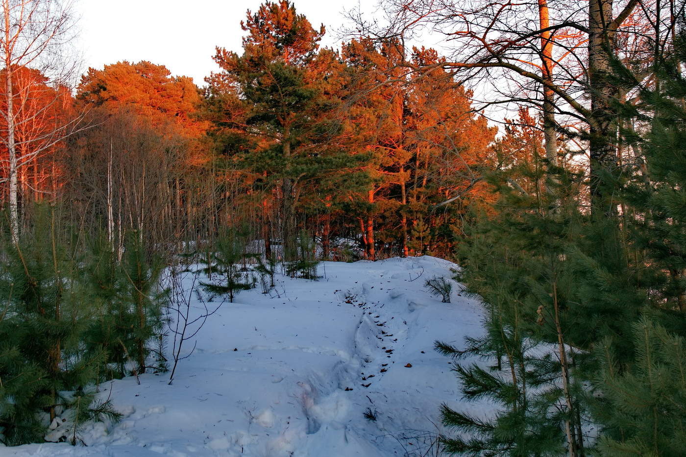 Мартовским вечером.