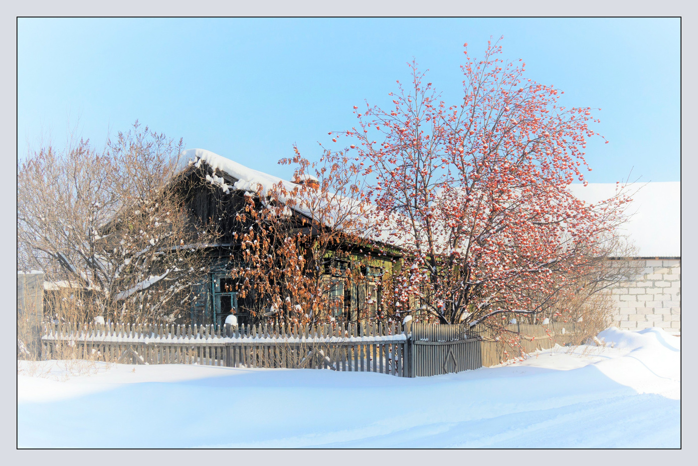 Зима деревенская