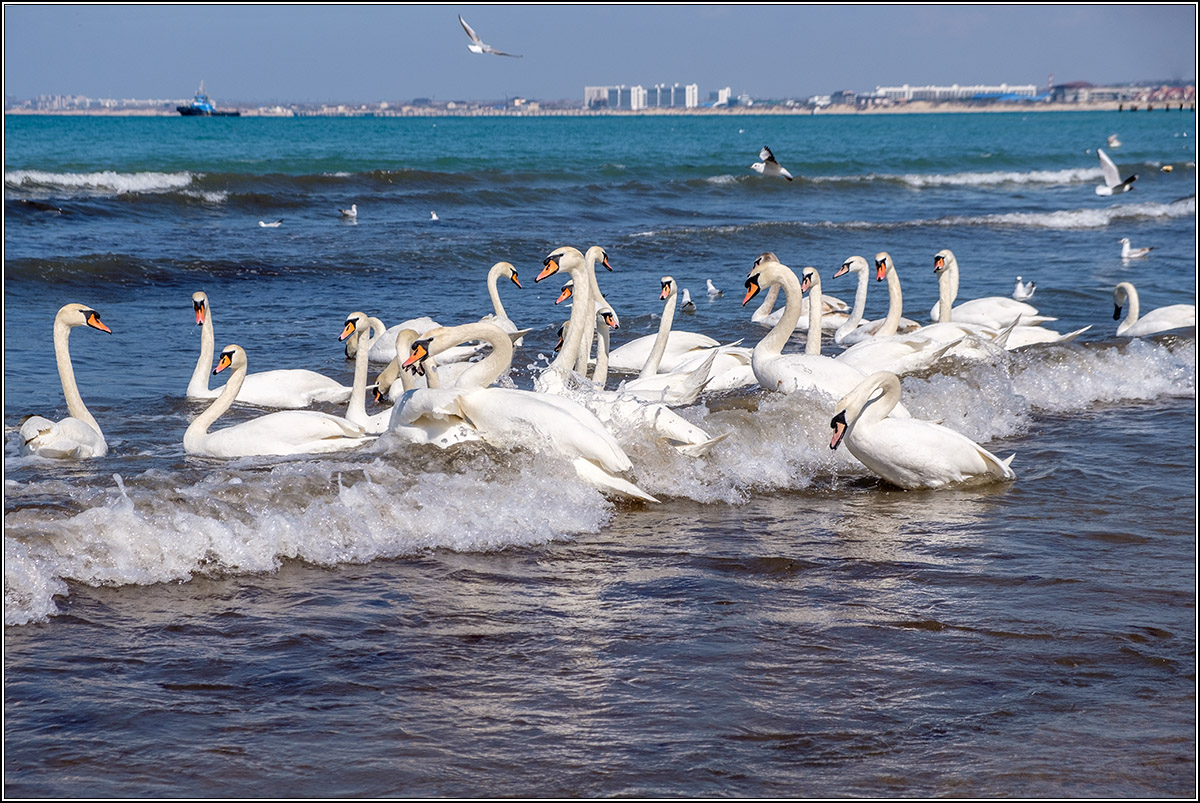 Март в Анапе.