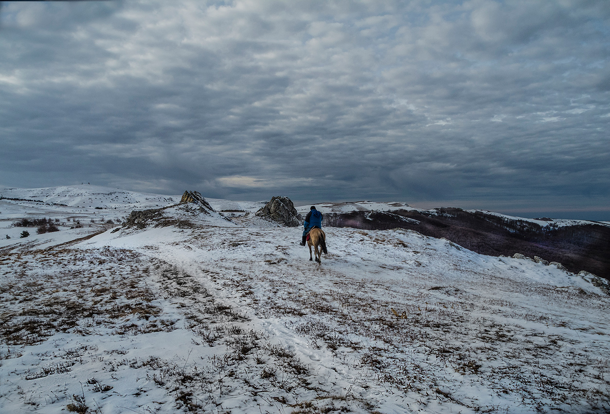 Одинокий конник