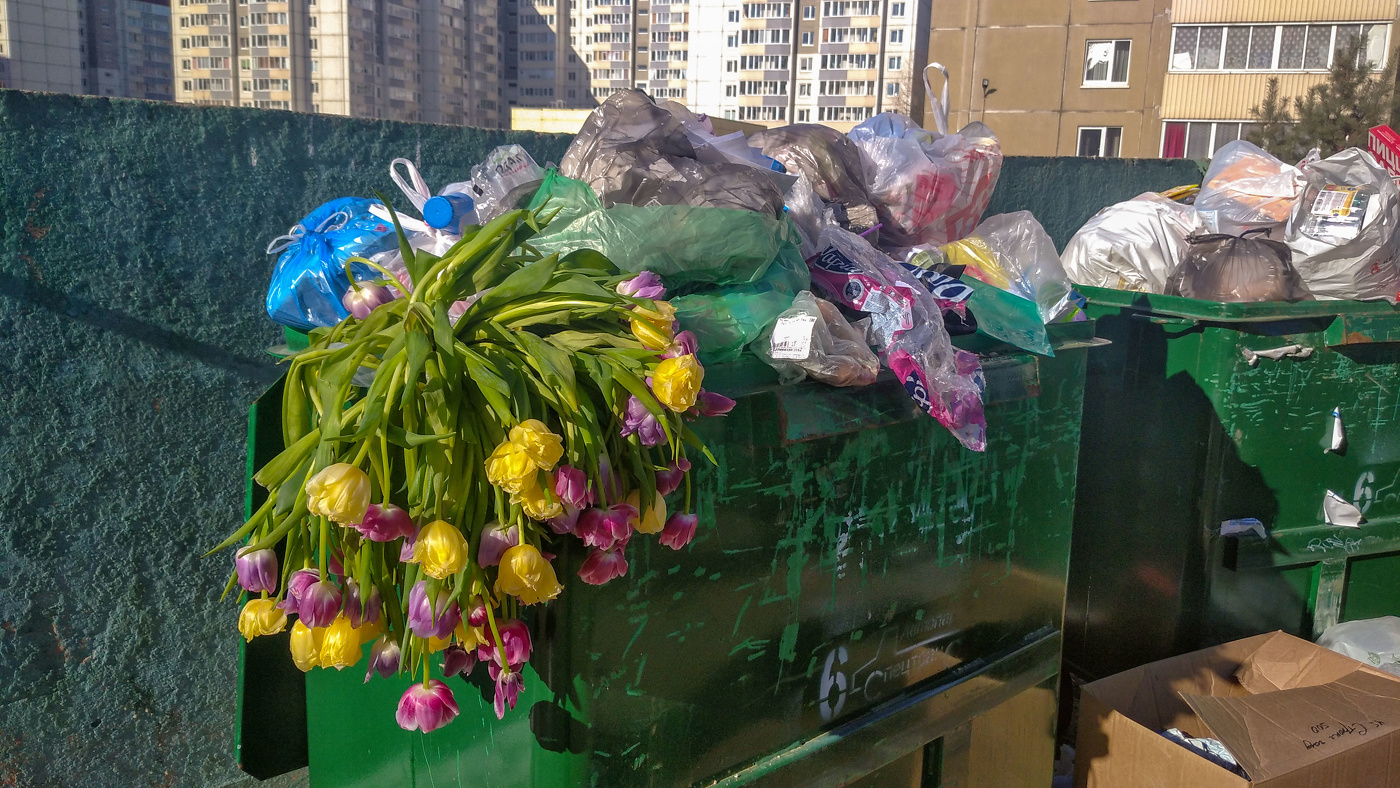 Жизнь вокруг