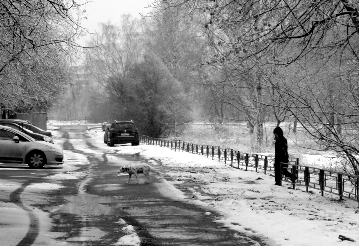 С прогулки!