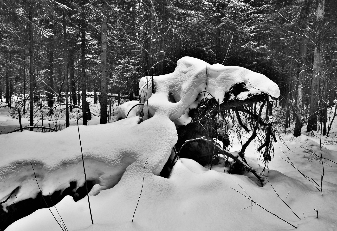 Черно - белый март ...