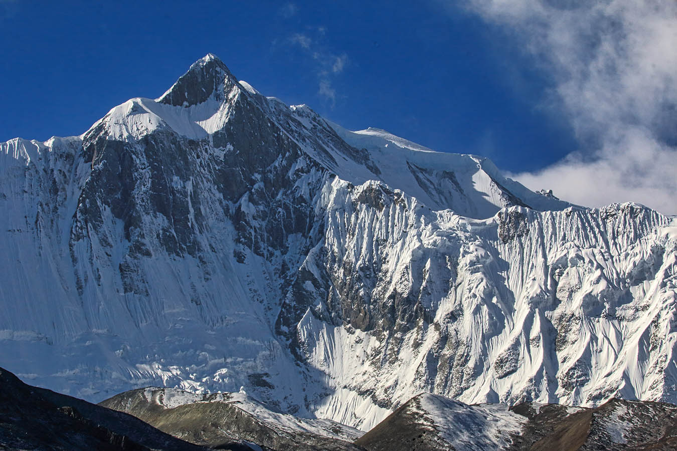 Кангар-Канг