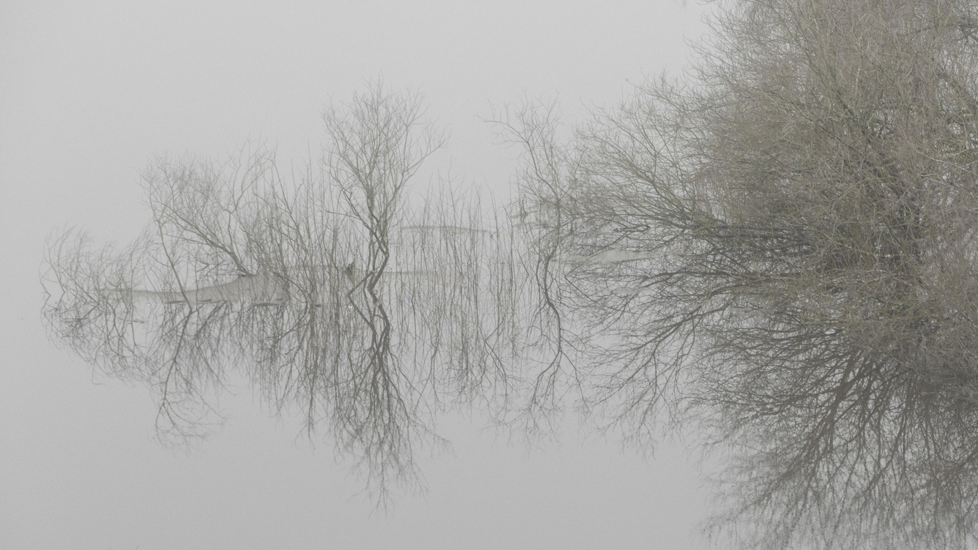 Жизнь вокруг