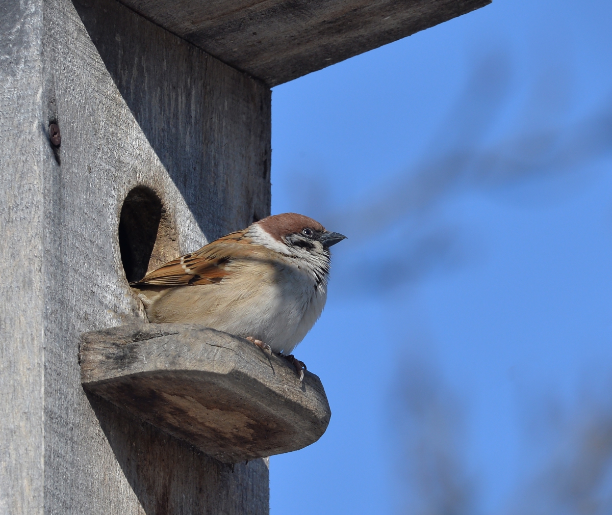 Греюсь на солнышке