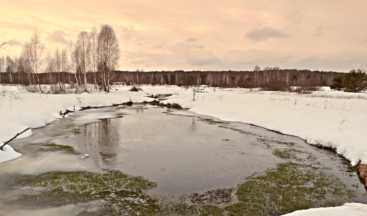 Вечерняя картина прихода весны