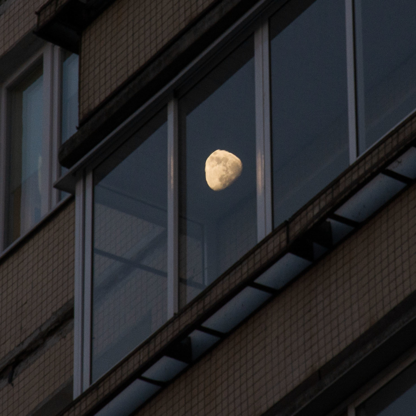 Жизнь вокруг