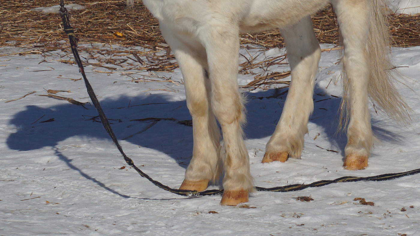 Угадай кто?