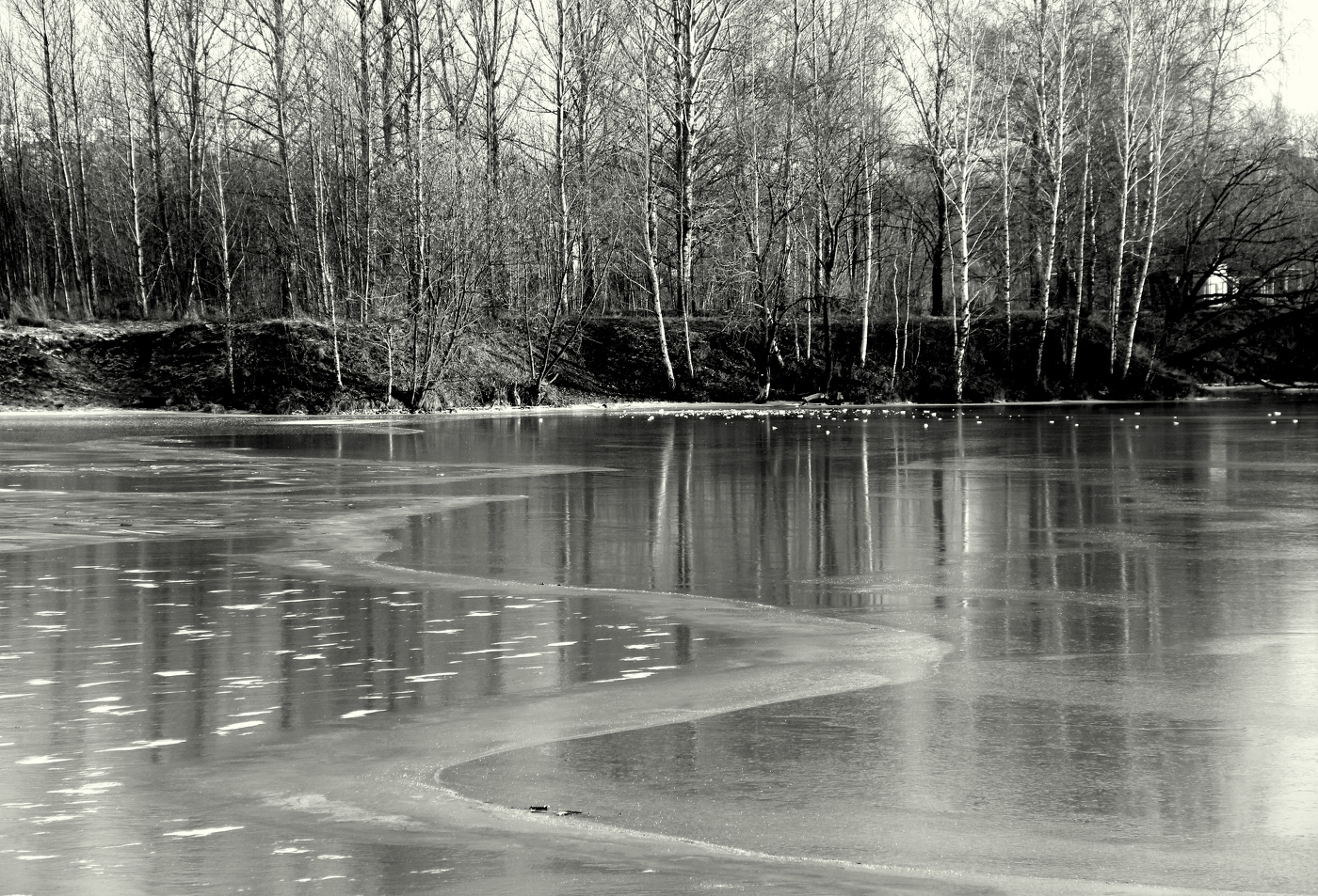 Весенний этюд.