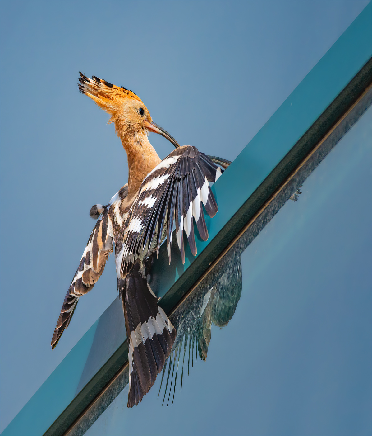 "Свет мой - зеркальце, скажи"...