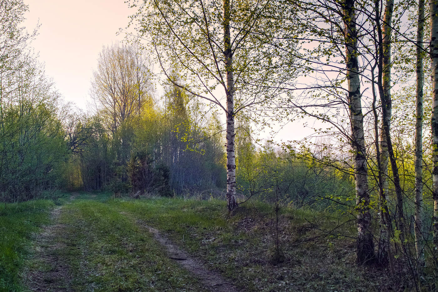 Утренний взгляд