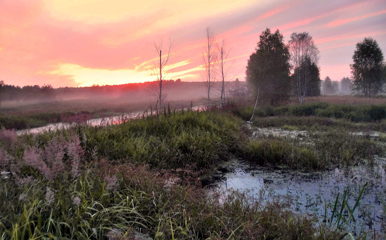 Туманный летний закат