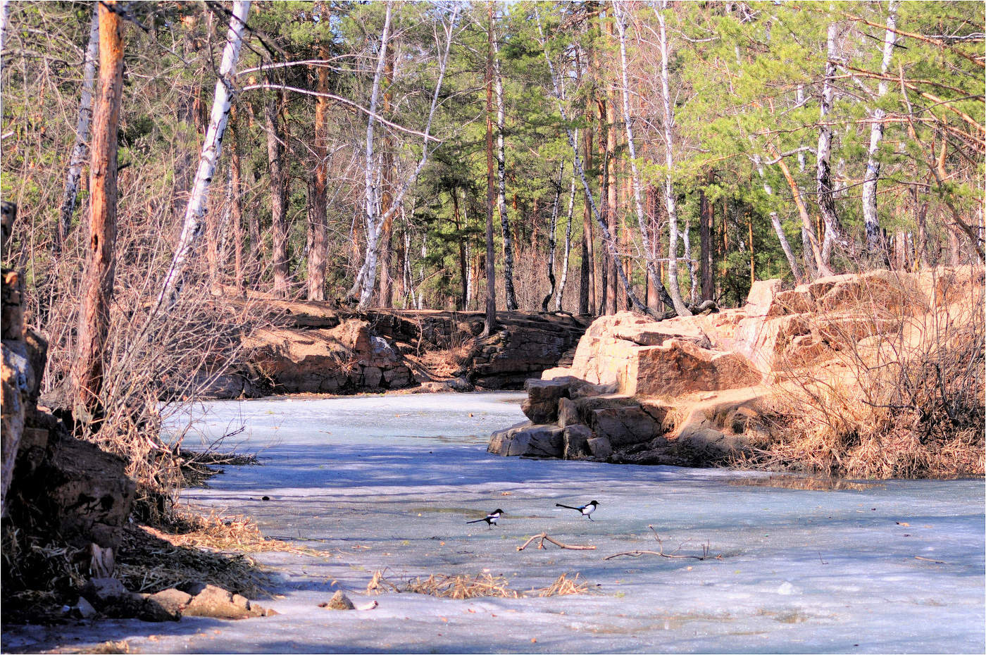 Весенний день