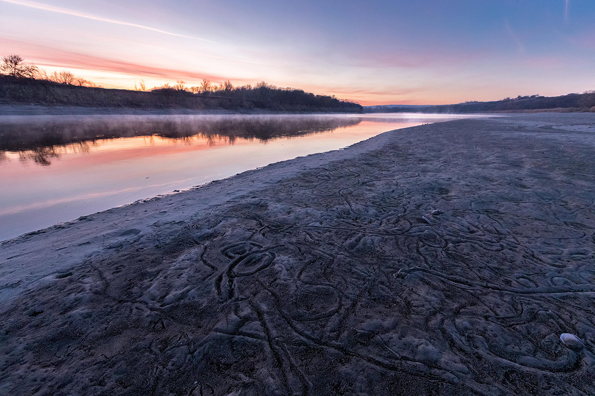 Следы невиданных зверей