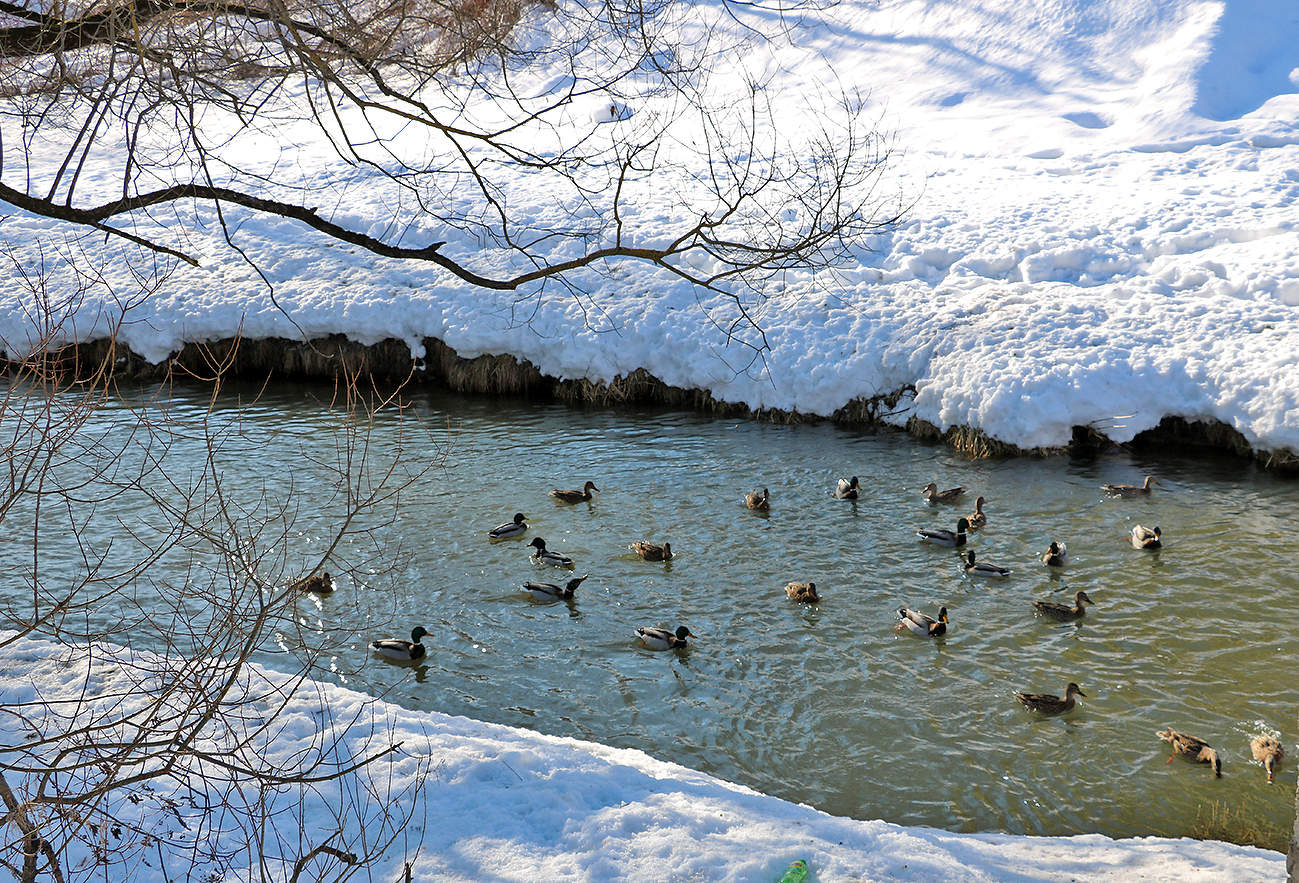 Конец февраля