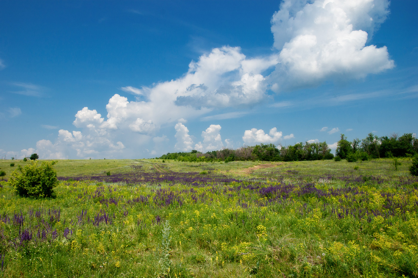 Типичный летний пейзаж