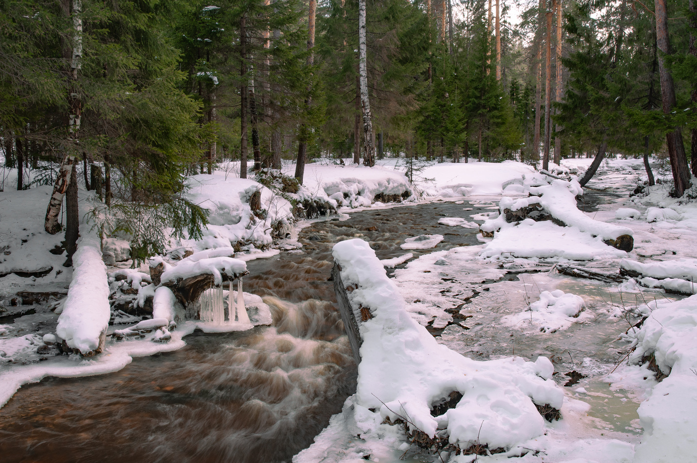 Еще в лесу белеет снег, а воды уж весной шумят