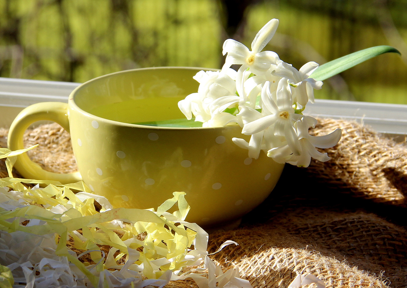 Весенний натюрморт!