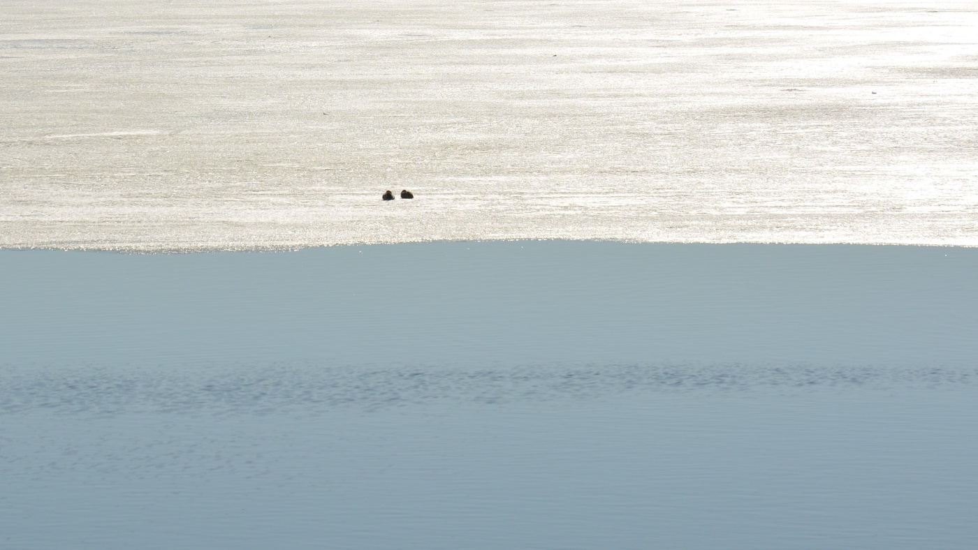 Жизнь вокруг