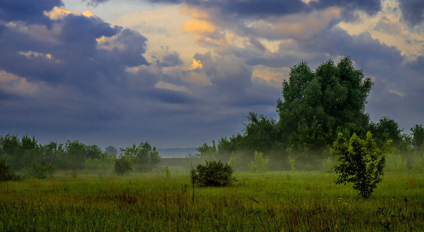 Тучи собираются.