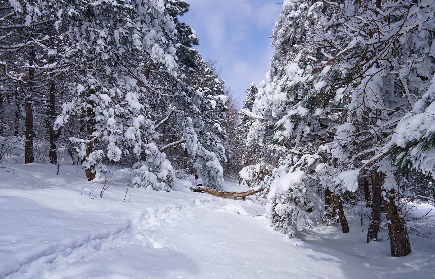 Этот март-чародей