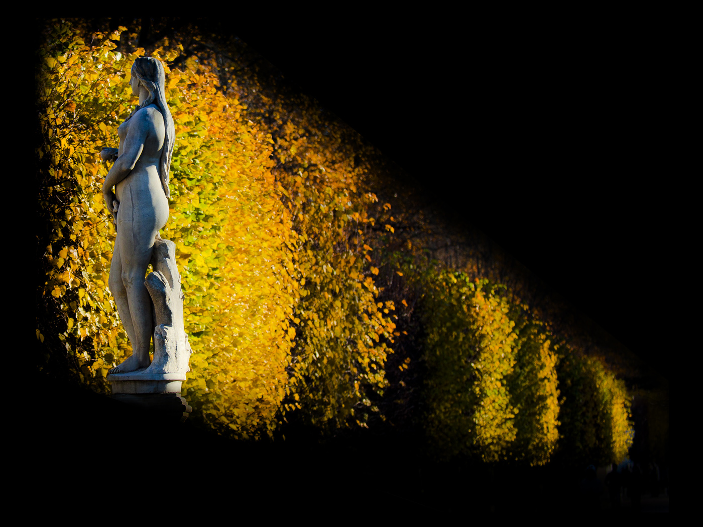 Нестандартный Петергоф - 23