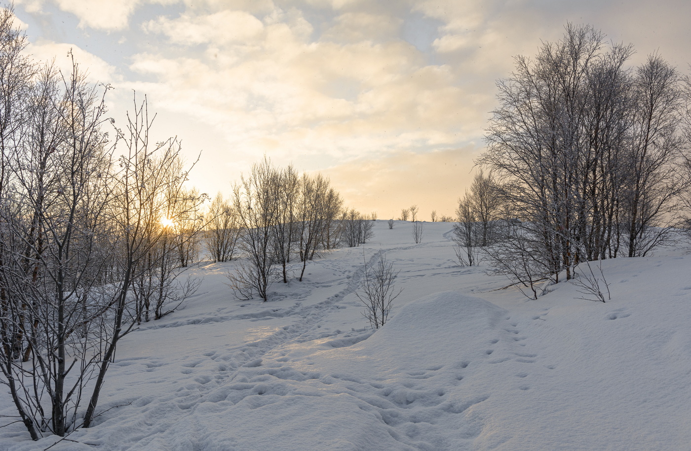падал снег на солнечные лучи