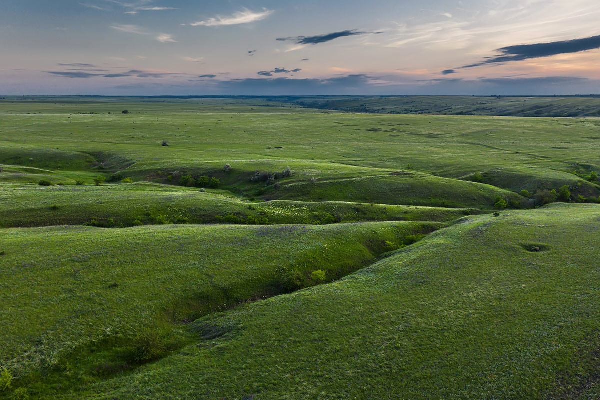 Степь изумрудная