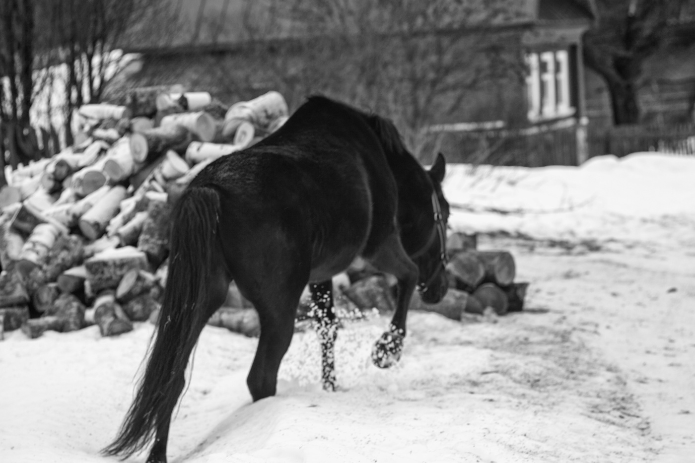 Жизнь вокруг
