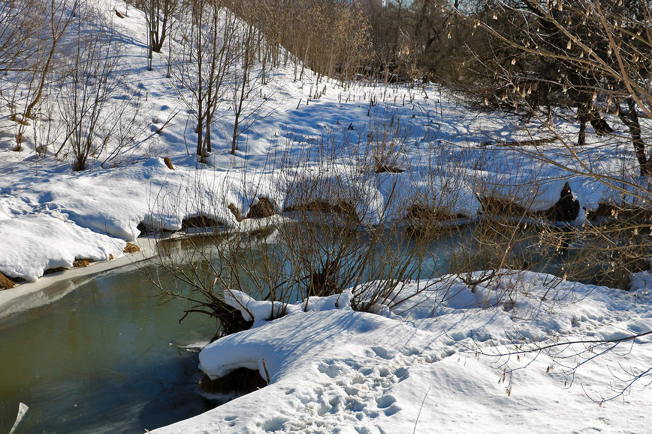 Начало марта