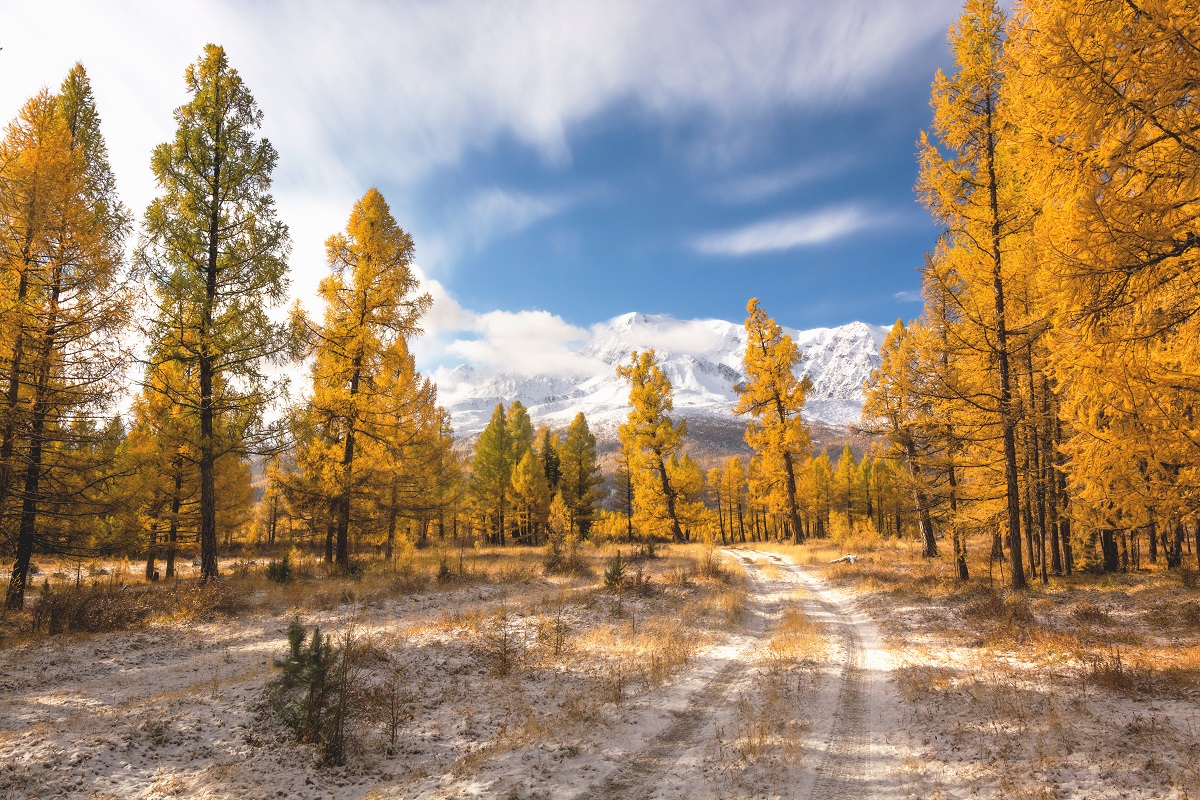 По дороге в осень