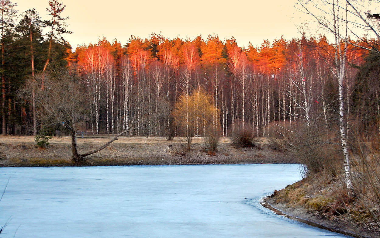 Мартовским вечером на берегу озера
