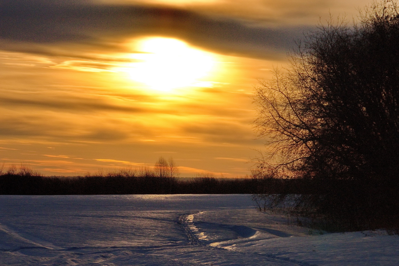 *Мартовским вечером.**