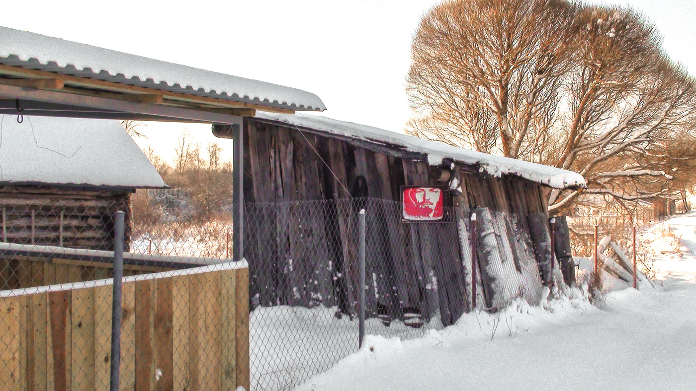 Жизнь вокруг