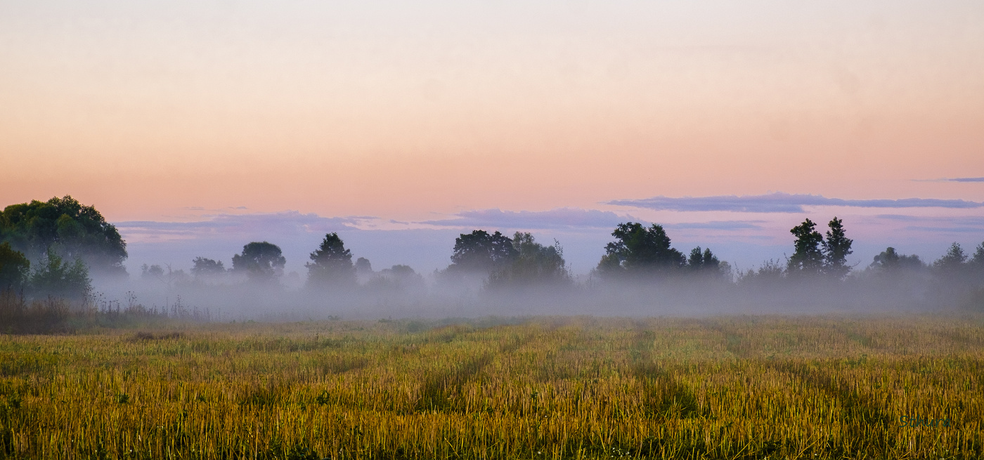 Скошенное поле.