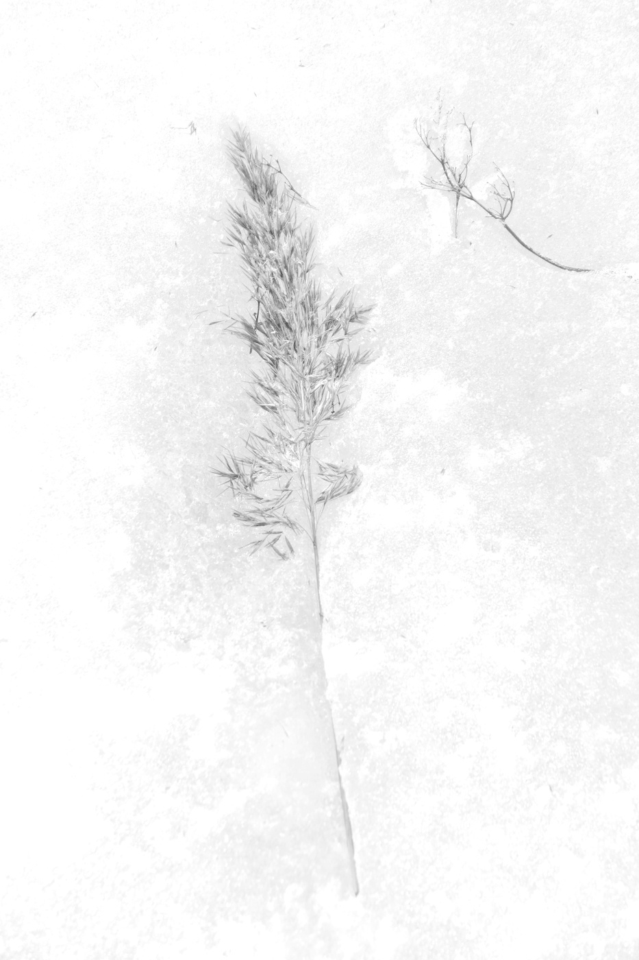 Жизнь вокруг