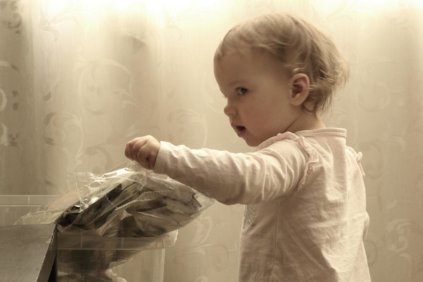 Инспектор Зоя