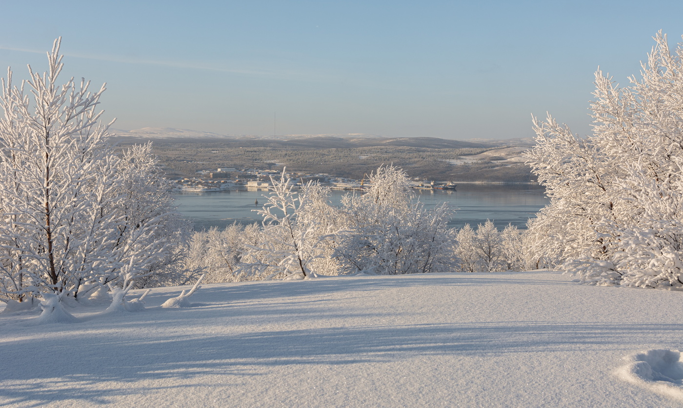 Морозные узоры