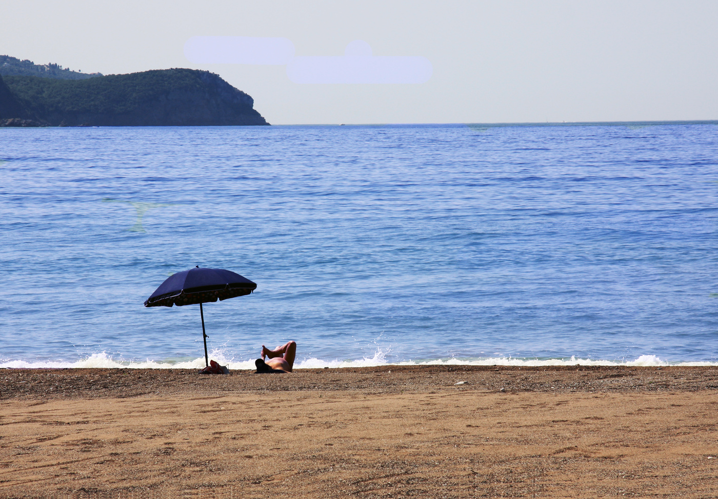 Первая ласточка...