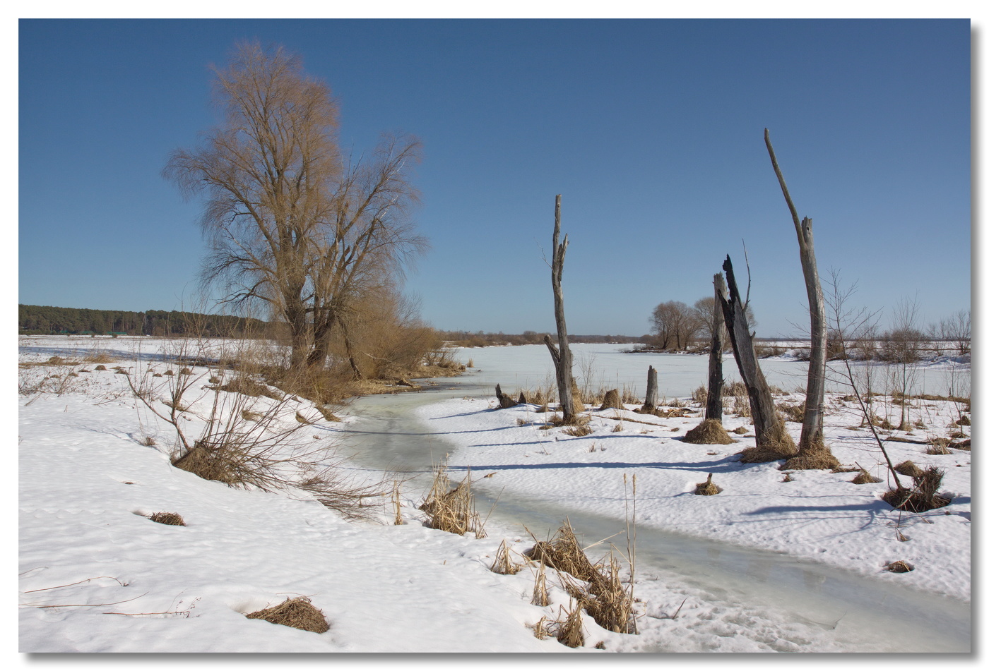 весенний пригород
