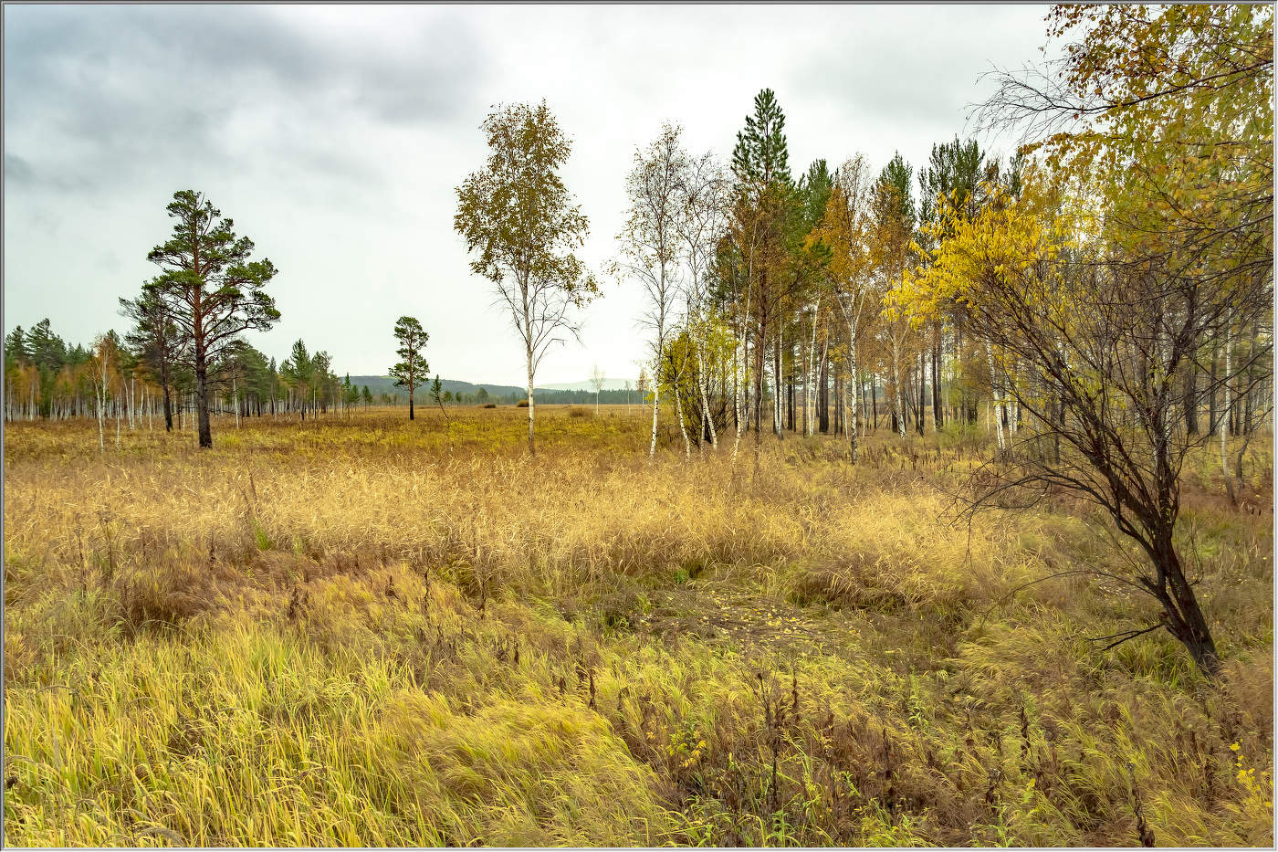 Осенняя унылая пора