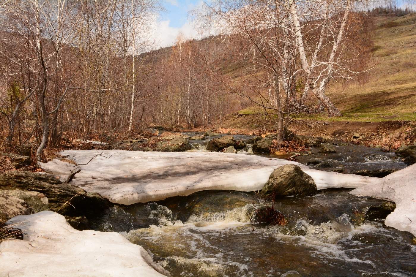 Весна идёт.