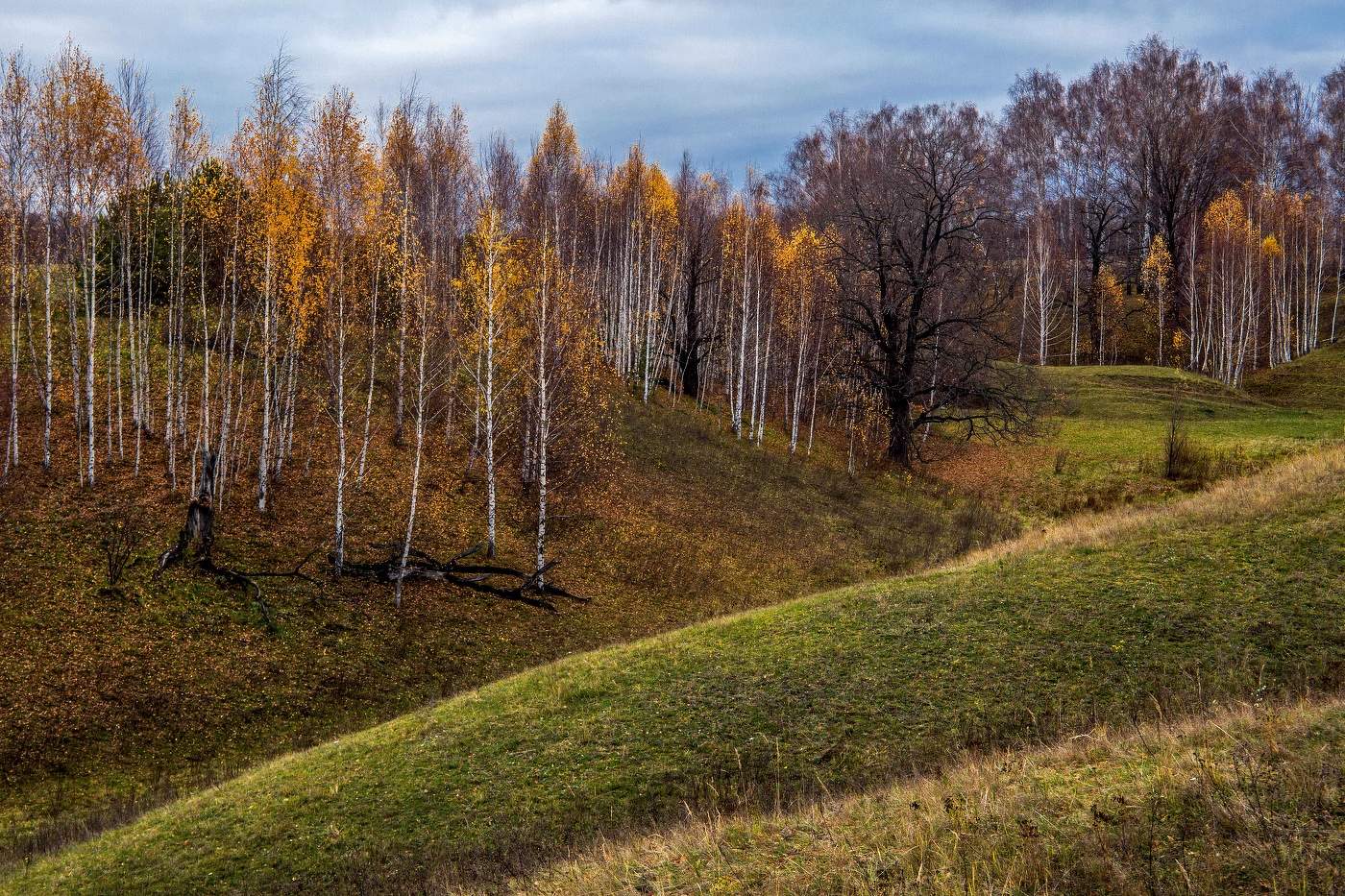 Октябрьский пейзаж