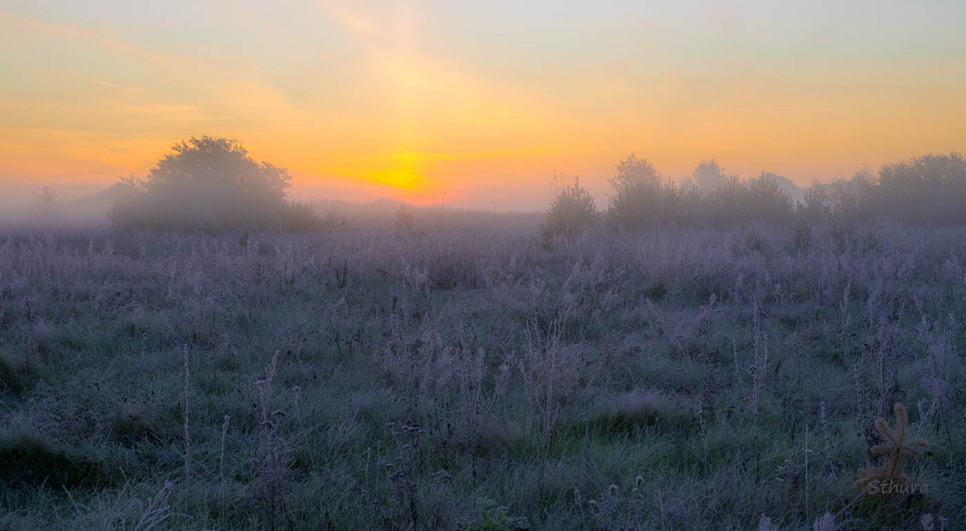 Утренний луг.