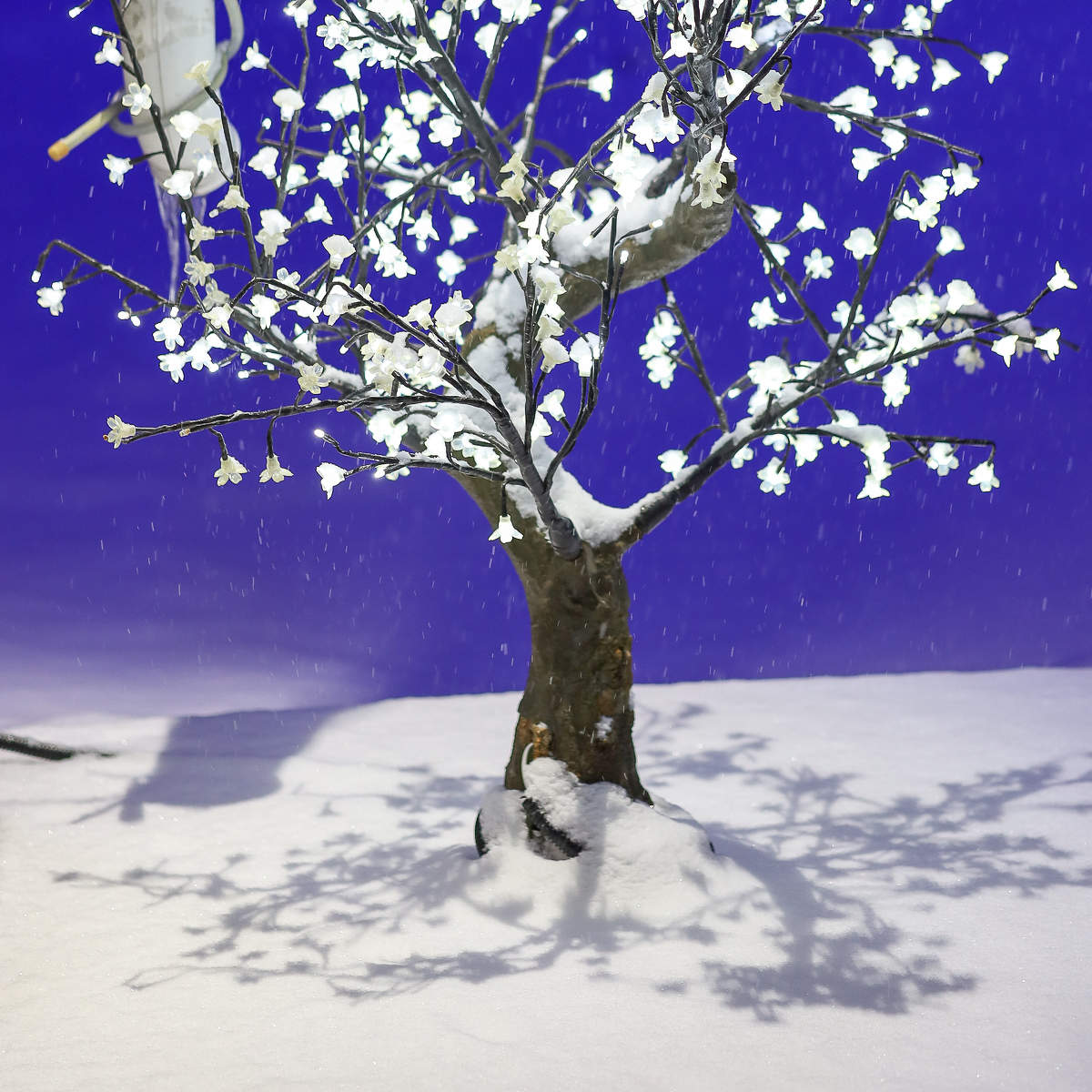 Дерево желаний