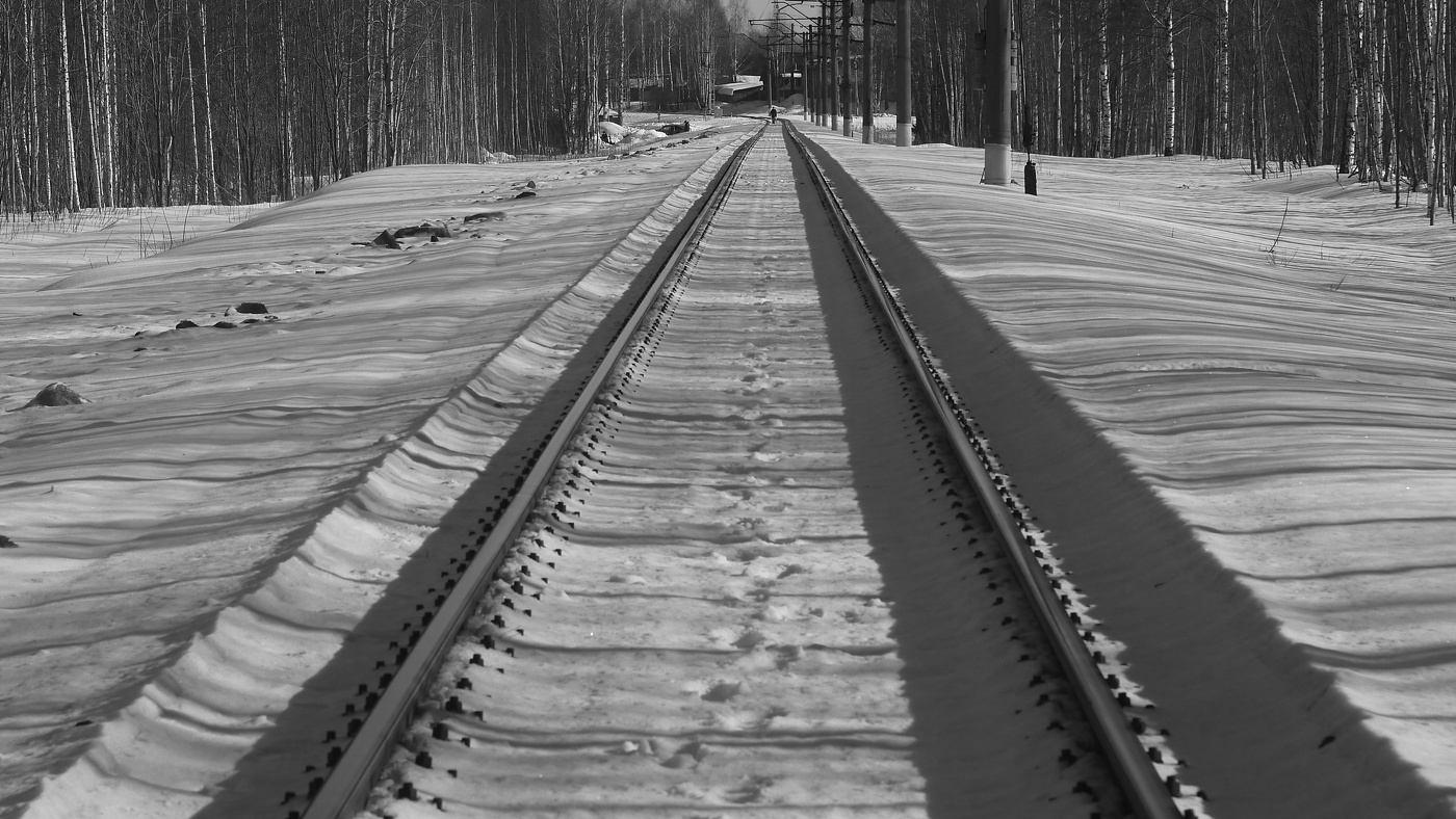 Полосатый рейс.