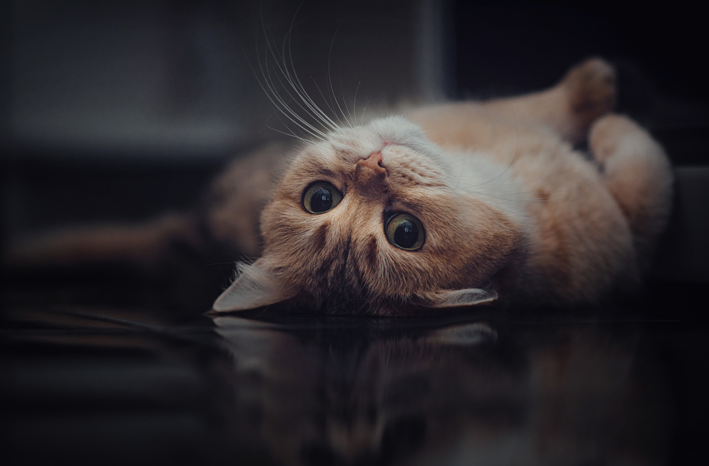 Моё совершенство...)