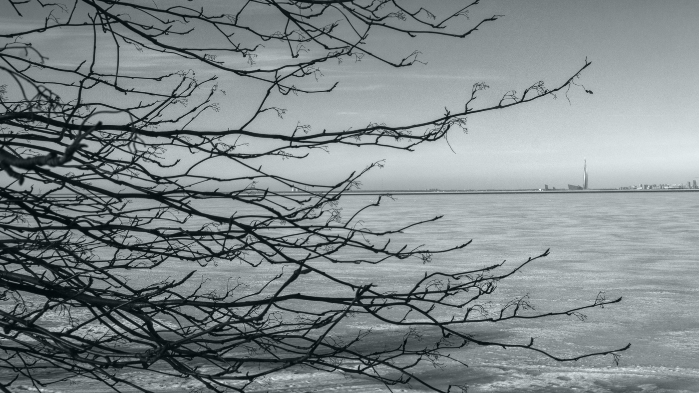 Жизнь вокруг