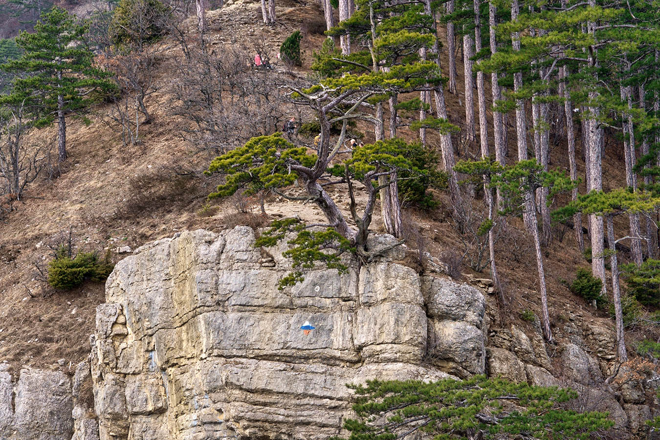 У Ставри-Кая